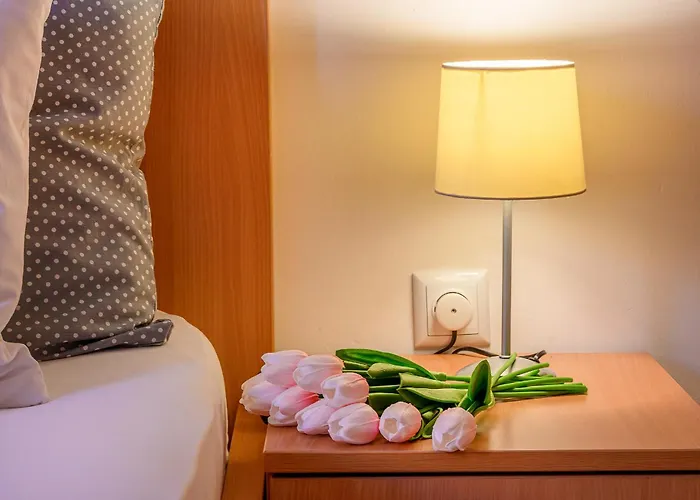 Apartman Mare *